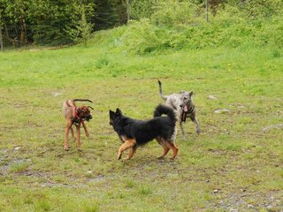 2010-05-30_ntb_0090