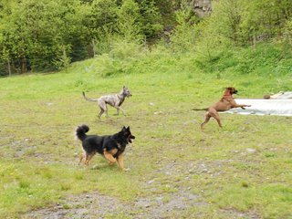 2010-05-30_ntb_0097