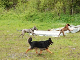 2010-05-30_ntb_0098