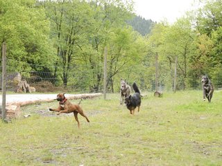 2010-05-30_ntb_0101