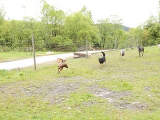 2010-05-30_ntb_0103