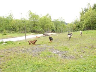 2010-05-30_ntb_0104