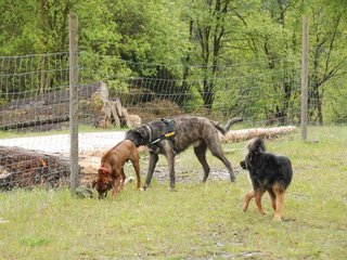 2010-05-30_ntb_0106