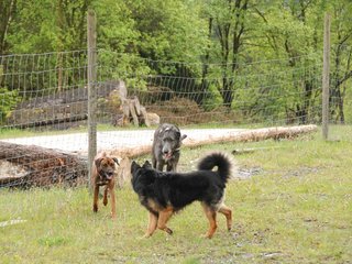 2010-05-30_ntb_0107