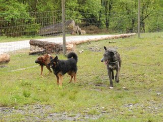 2010-05-30_ntb_0108