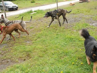 2010-05-30_ntb_0109