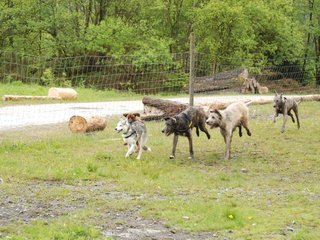 2010-05-30_ntb_0111