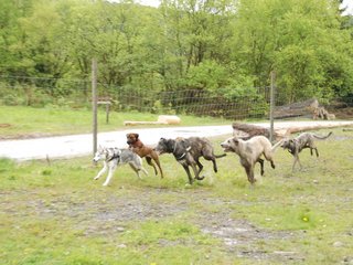 2010-05-30_ntb_0112
