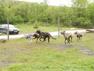 2010-05-30_ntb_0113