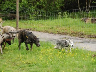 2010-05-30_ntb_0114