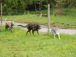 2010-05-30_ntb_0116
