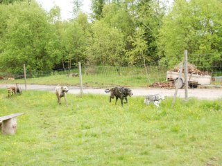 2010-05-30_ntb_0118