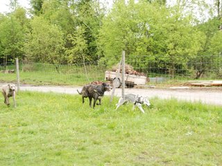 2010-05-30_ntb_0119