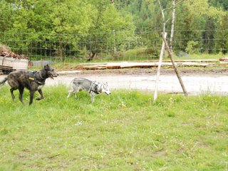 2010-05-30_ntb_0120