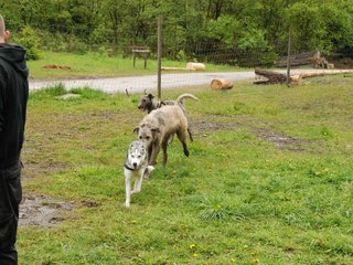 2010-05-30_ntb_0123