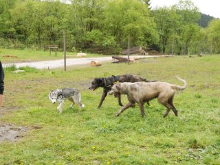 2010-05-30_ntb_0124