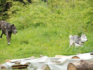 2010-05-30_ntb_0126