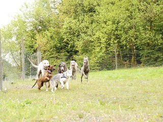 2010-05-30_ntb_0133