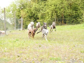 2010-05-30_ntb_0134