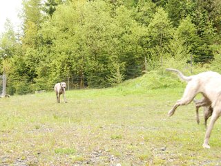 2010-05-30_ntb_0137