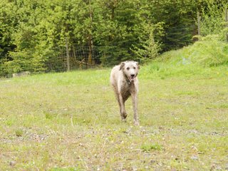 2010-05-30_ntb_0138