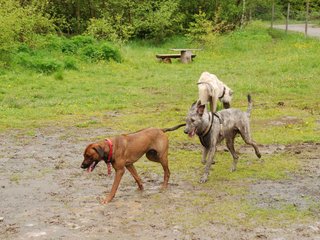 2010-05-30_ntb_0139