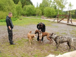 2010-05-30_ntb_0142