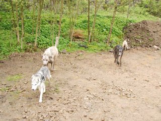2010-05-30_ntb_0143