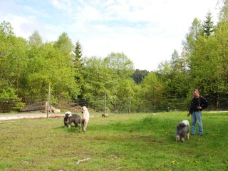 2010-05-30_ntb_0144