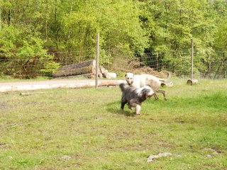 2010-05-30_ntb_0145