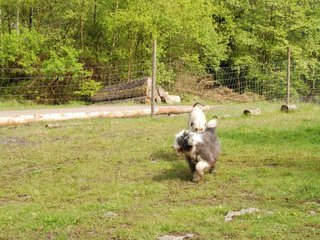 2010-05-30_ntb_0146