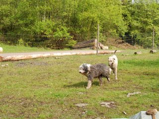 2010-05-30_ntb_0147