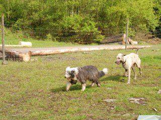 2010-05-30_ntb_0148