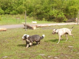 2010-05-30_ntb_0149