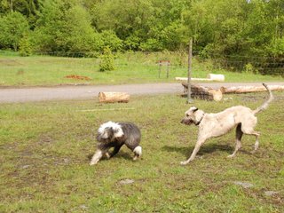 2010-05-30_ntb_0150