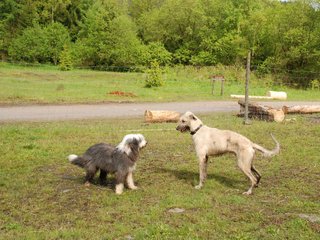 2010-05-30_ntb_0151