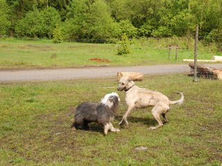 2010-05-30_ntb_0152