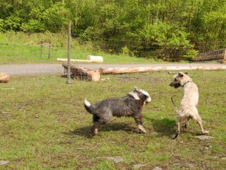 2010-05-30_ntb_0154