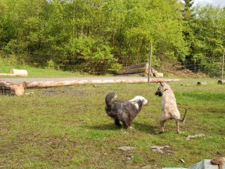 2010-05-30_ntb_0155