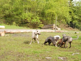 2010-05-30_ntb_0158