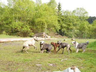 2010-05-30_ntb_0159