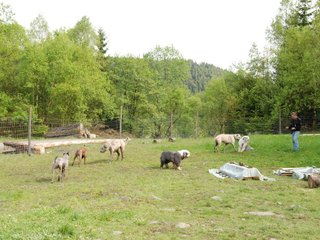 2010-05-30_ntb_0160