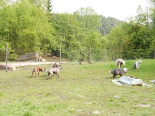 2010-05-30_ntb_0161