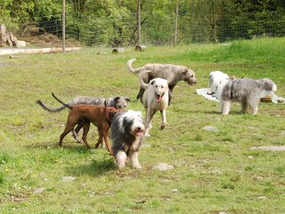2010-05-30_ntb_0163