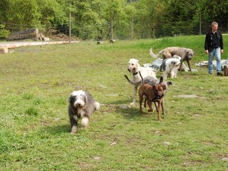2010-05-30_ntb_0164