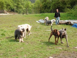 2010-05-30_ntb_0165