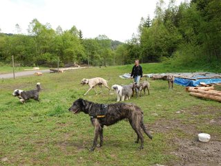 2010-05-30_ntb_0167