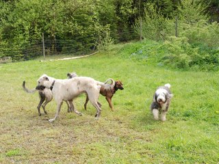 2010-05-30_ntb_0168