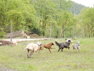 2010-05-30_ntb_0174