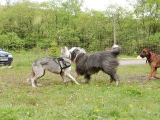 2010-05-30_ntb_0175